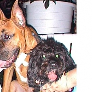 Harley & his buddy Scruffy