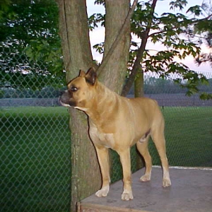 general