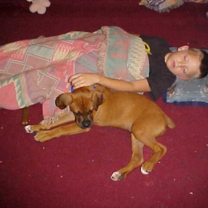 After popcorn & a good movie,comes sleep