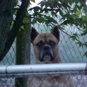 I see you