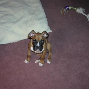 Where's my treat?
