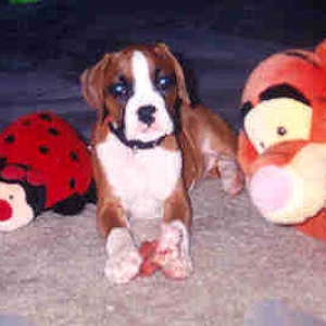 Too many toys
