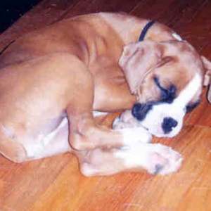 Asleep