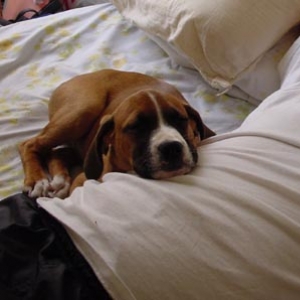 My favorite pillow
