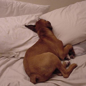 I like pillows