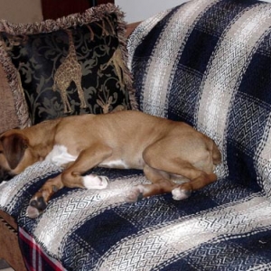 Comfy sofa
