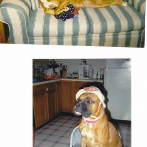 Millie Girl (R.I.P)