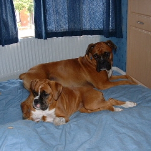 George & Amber
