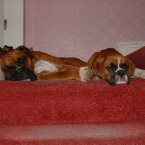 Seepy heads!!