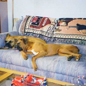 Crashed