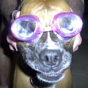 Friday - ready for the beach !!