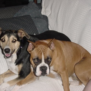 I love taking pictures of my "girls"!