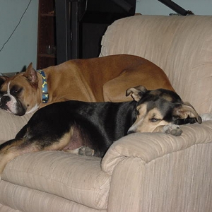 Tired after a hard day playing