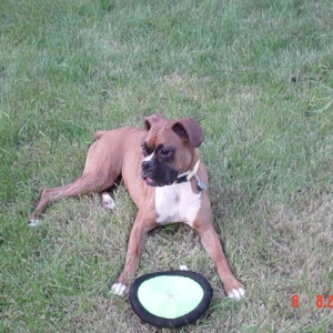My new frisbee