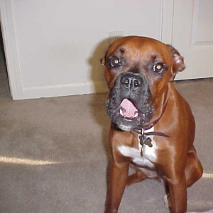 Miz Maggie