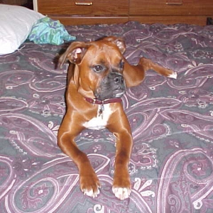 Maggie on HER bed