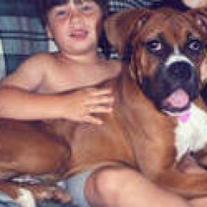 Big puppy