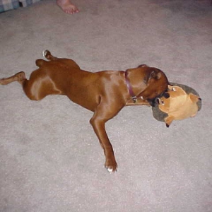 Maggie & Hermie