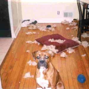 Pillow Fight! I won!