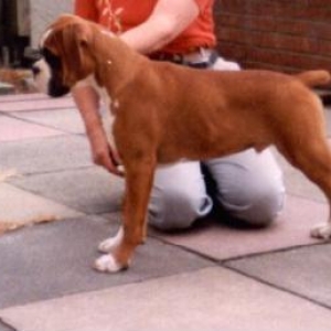 George at 14 Weeks