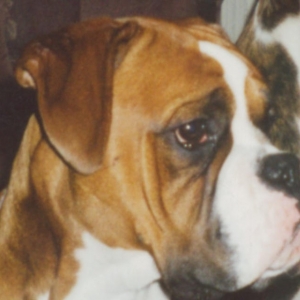 George at 1 yr