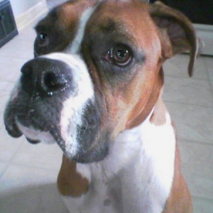 Close up!!