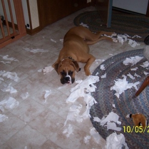 What?  I wasn't doing anything...