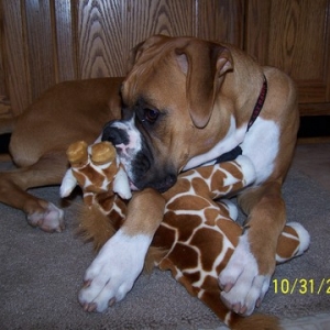 I can fit his whole face in my mouth!