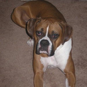 My baby!