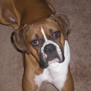 Sweet Roxy!