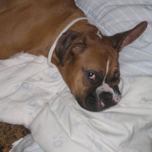 Laying on her blanky!