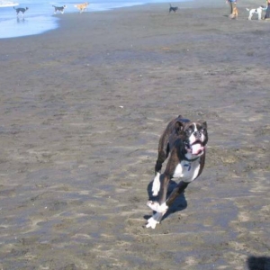 Running at the Beach