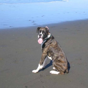 Beach Bum