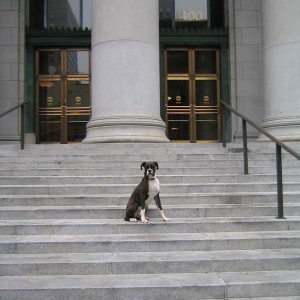 Guarding