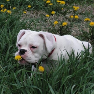 Smelling the flowers