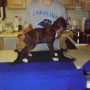 Drake at Ten Weeks