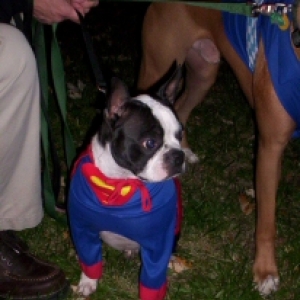 Super Simon!