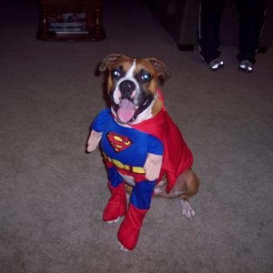 halloween costume