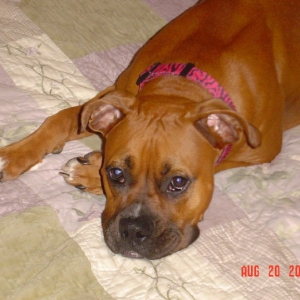 Prettu Girl
