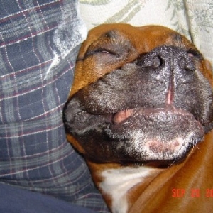 sweet dreams...