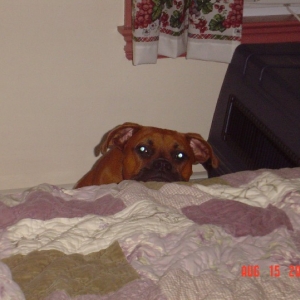 Aw ma, can't I just get into bed with you??