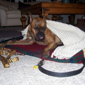 kody_after_surgery