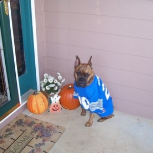 Halloween_20051