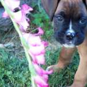 Smelling_the_flowers