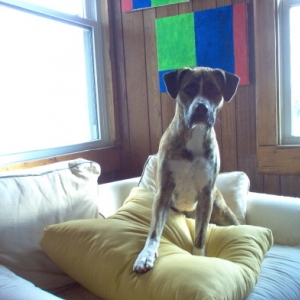 Max-chair