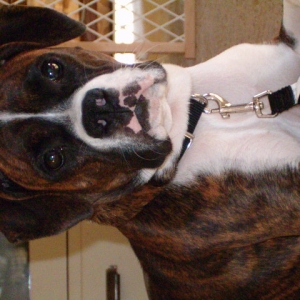 Look at me! I'm soooo pretty! :)