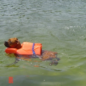 Madison with life vest