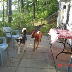 Madison with cousin Sadie
