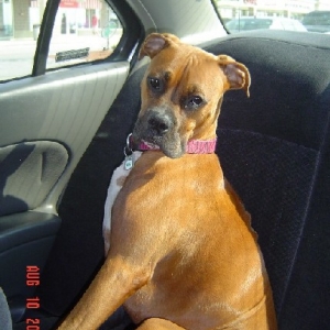 Madison in car