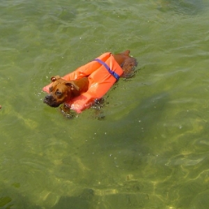Swimming
